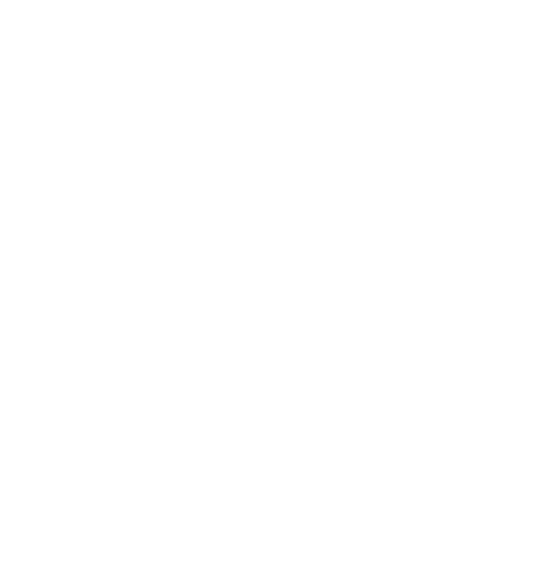 www.turrinaguitars.com